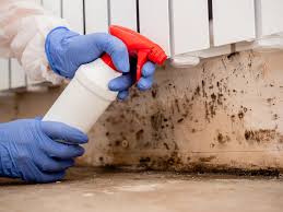 Mold Documentation for Insurance Claims in Salem, IL